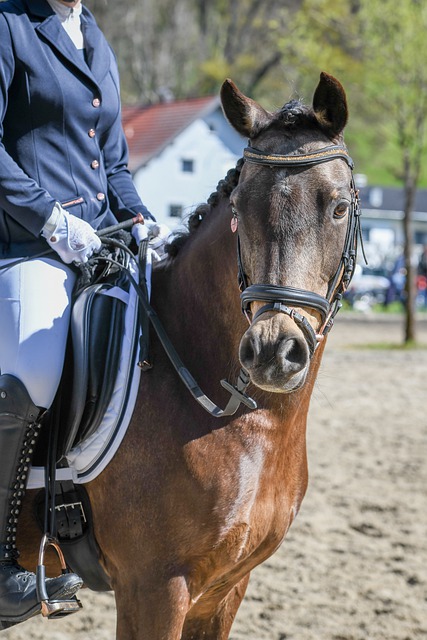 更彰显了他 更彰显了他
