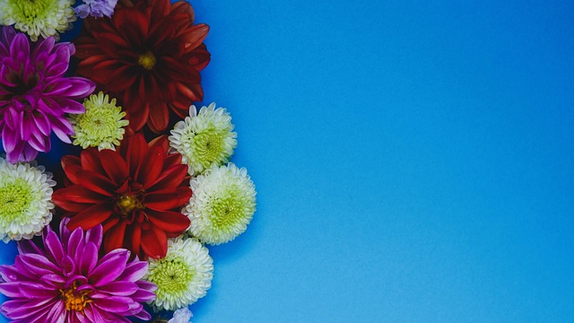 他们则需要 他们则需要