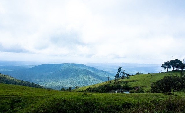 新世代标志 新世代标志