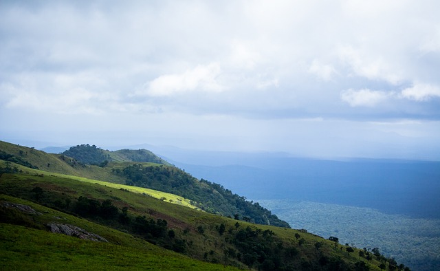 大球迷呈现 大球迷呈现