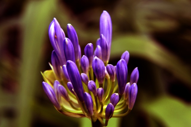 技巧與風格 技巧與風格