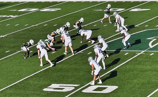 組織恢復順 組織恢復順