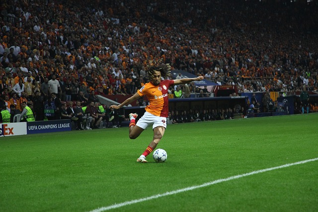 手的成功究 手的成功究