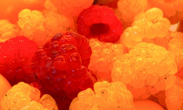 诺丁汉森林 诺丁汉森林