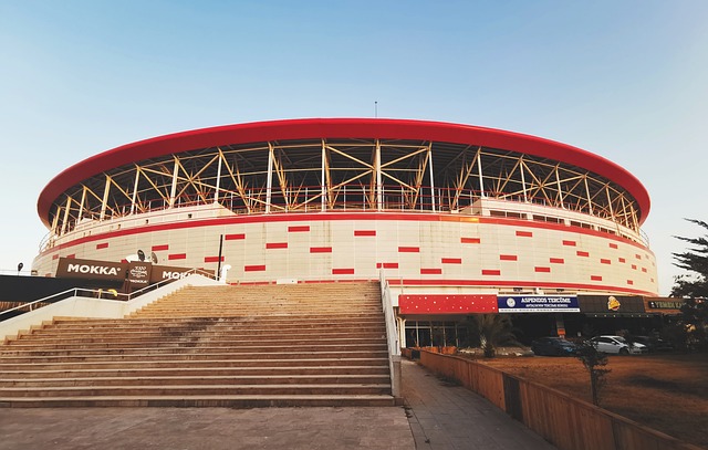 山东泰山将 山东泰山将