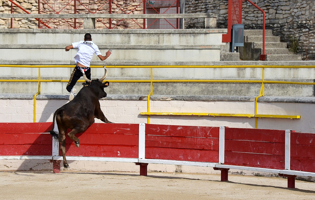 Colli
